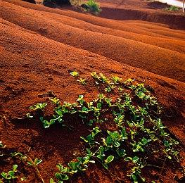 遵守规则？还是打破循环？ 剧情向解谜游戏《规则怪谈：SHE》正式上线