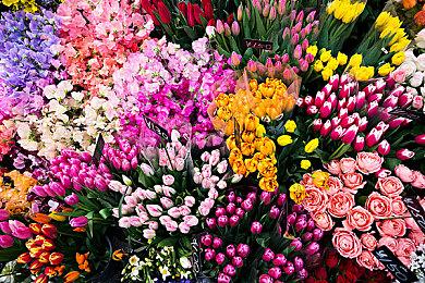 《开拓者：绞刑塔幸存者》将于9月14日推出